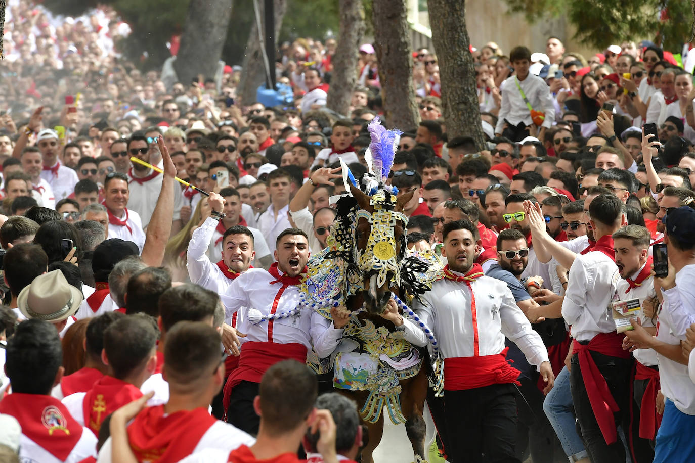 La carrera de los Caballos del Vino de Caravaca de la Cruz 2023, en imágenes