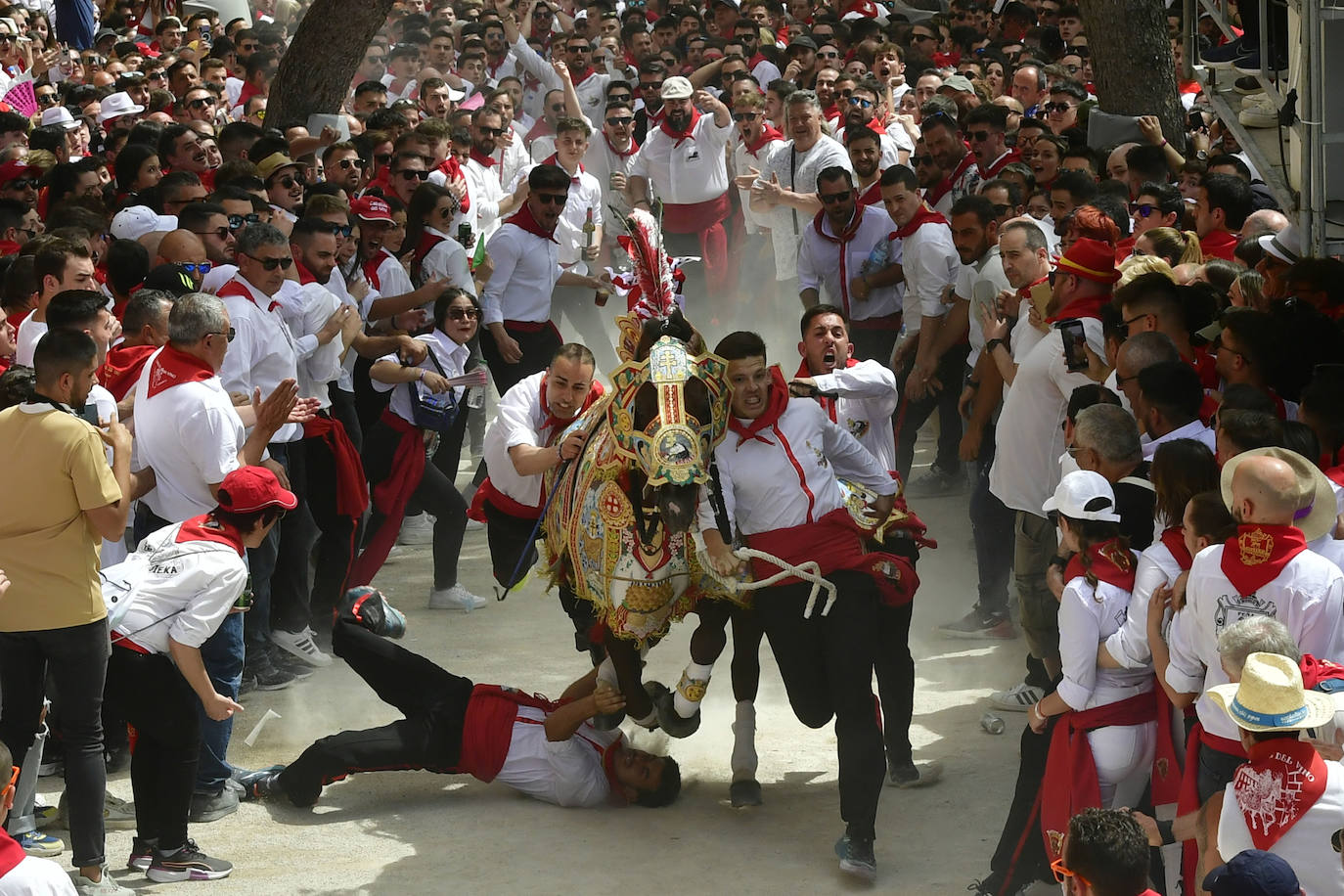 La carrera de los Caballos del Vino de Caravaca de la Cruz 2023, en imágenes