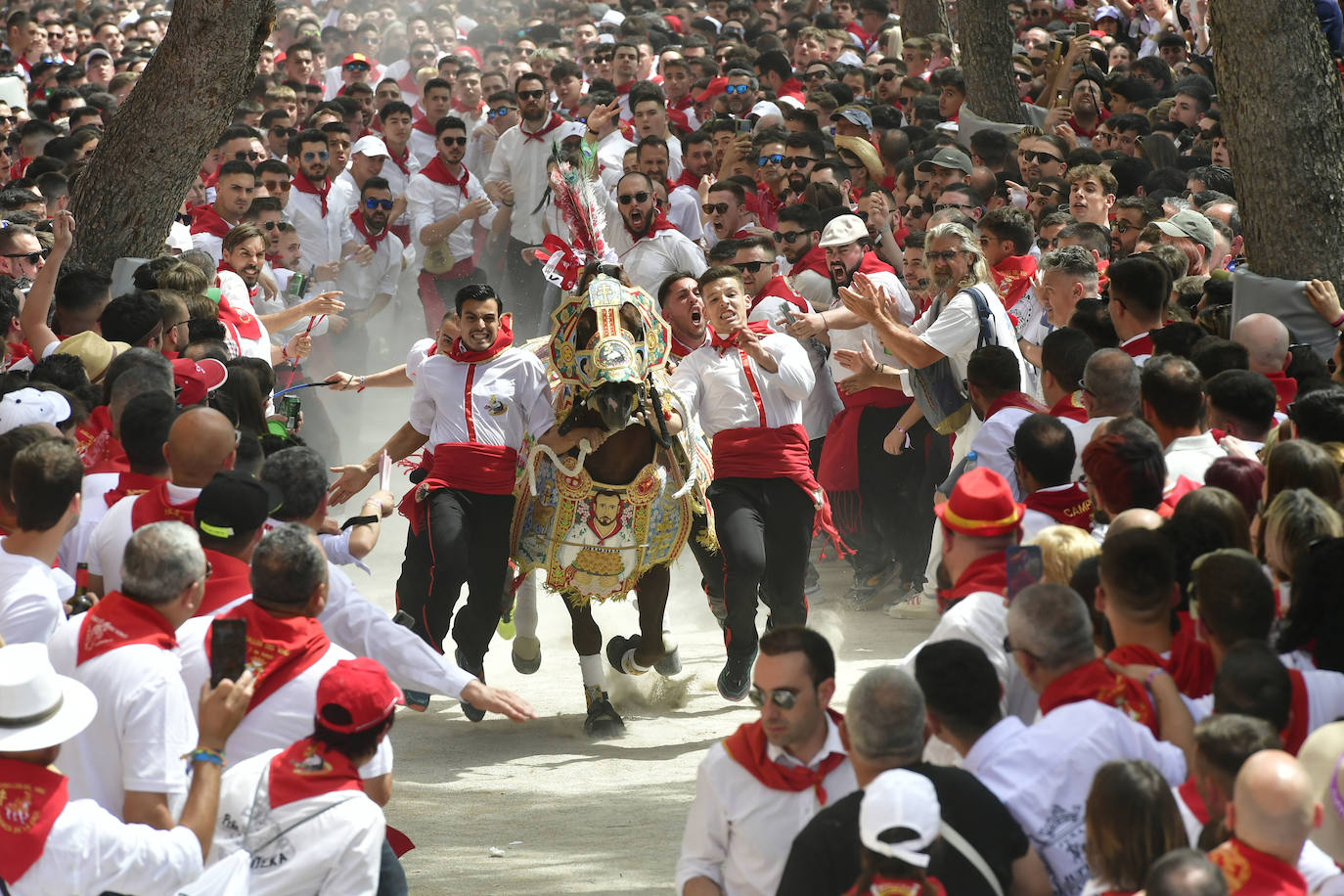 La carrera de los Caballos del Vino de Caravaca de la Cruz 2023, en imágenes