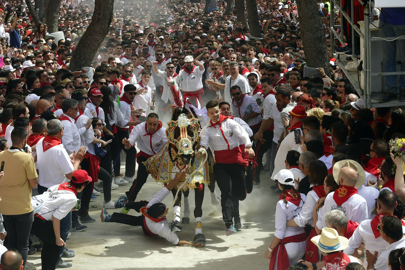 La carrera de los Caballos del Vino de Caravaca de la Cruz 2023, en imágenes