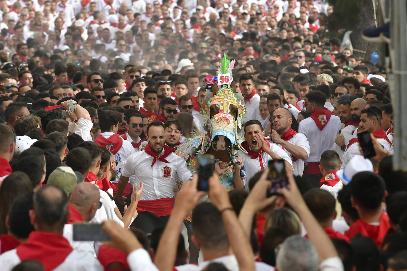 La carrera de los Caballos del Vino de Caravaca de la Cruz 2023, en imágenes