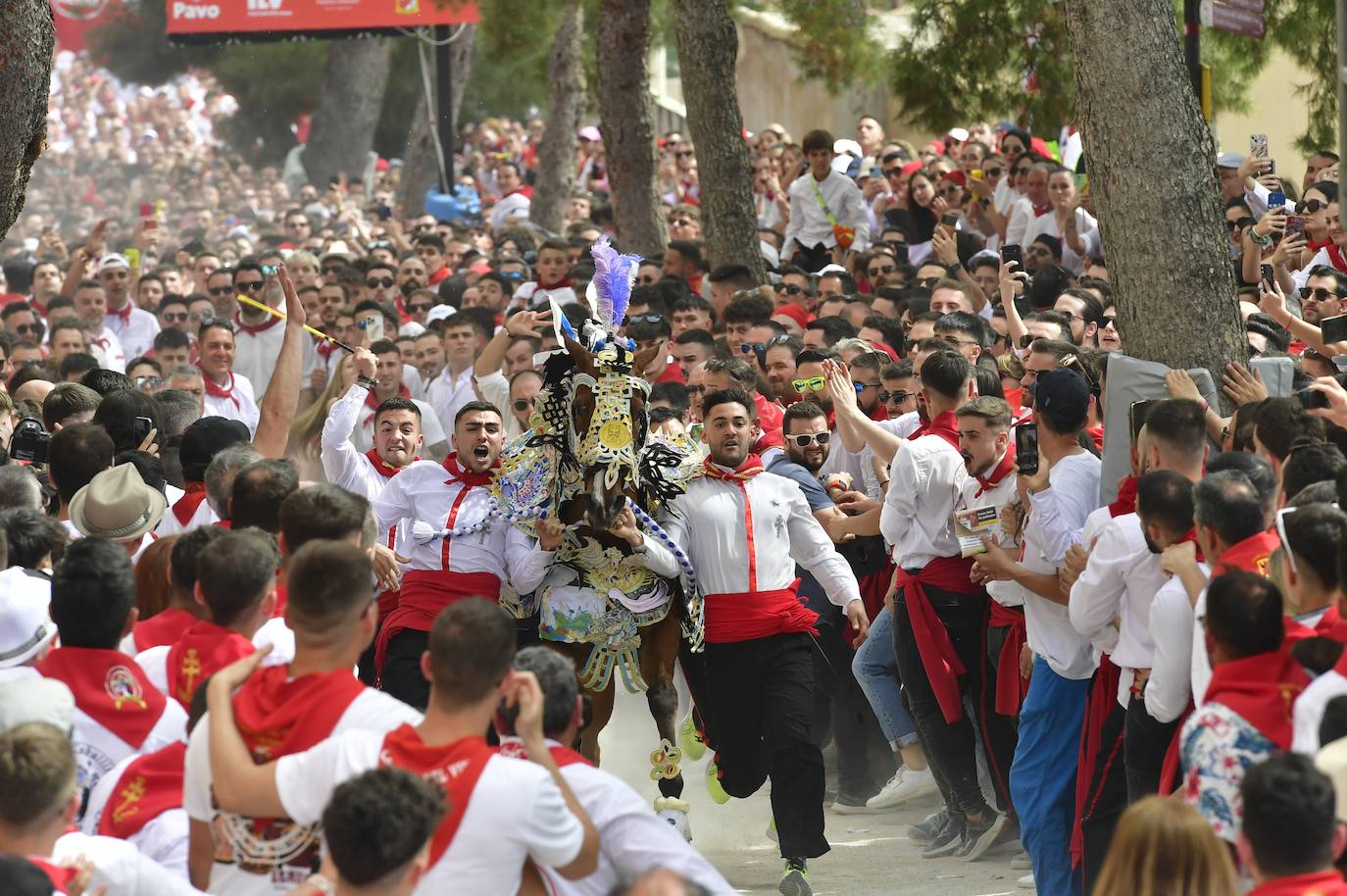 La carrera de los Caballos del Vino de Caravaca de la Cruz 2023, en imágenes