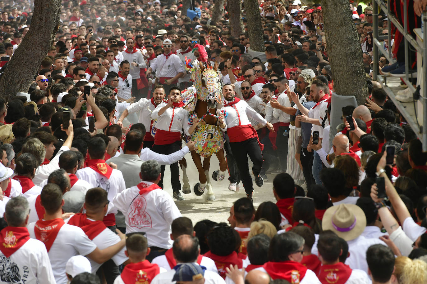 La carrera de los Caballos del Vino de Caravaca de la Cruz 2023, en imágenes