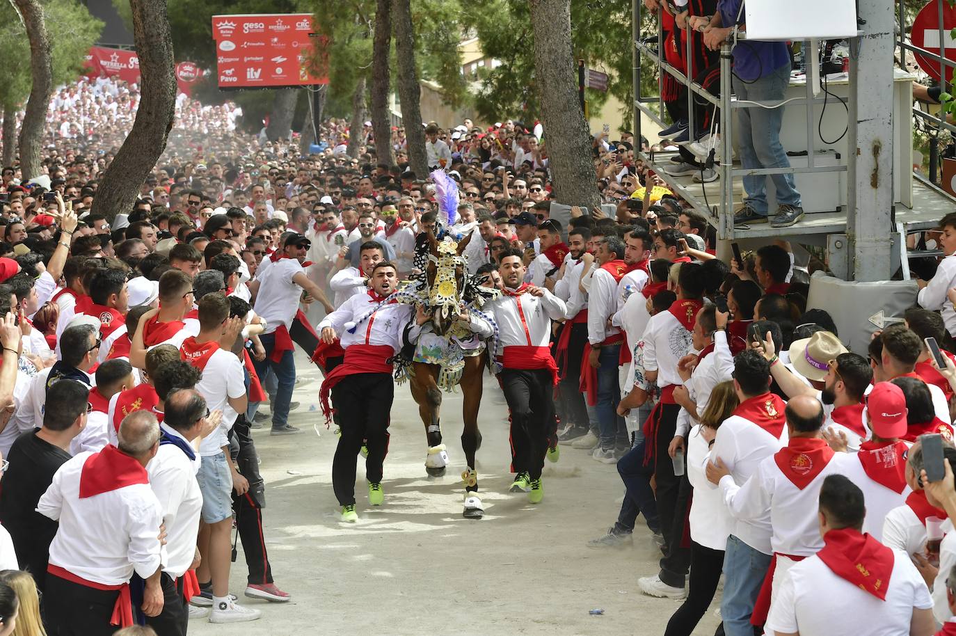 La carrera de los Caballos del Vino de Caravaca de la Cruz 2023, en imágenes