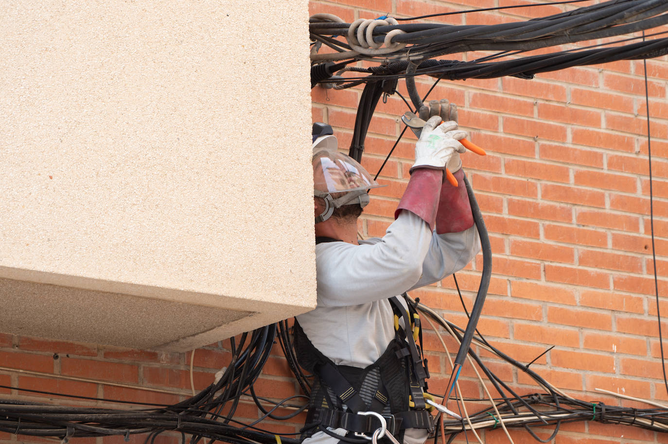 La redada en pisos de Espinardo destinados a producir &#039;maría&#039;, en imágenes