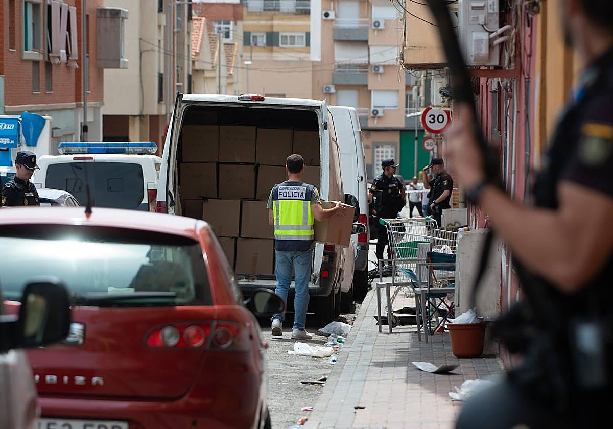 La redada en pisos de Espinardo destinados a producir &#039;maría&#039;, en imágenes