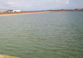 Balsa de la Trinchera, en Torre Pacheco.