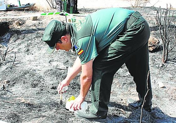 El responsable de la Oficina Técnica del Seprona en Murcia, José Antonio Fernández, recoge indicios en un incendio forestal en Murcia.
