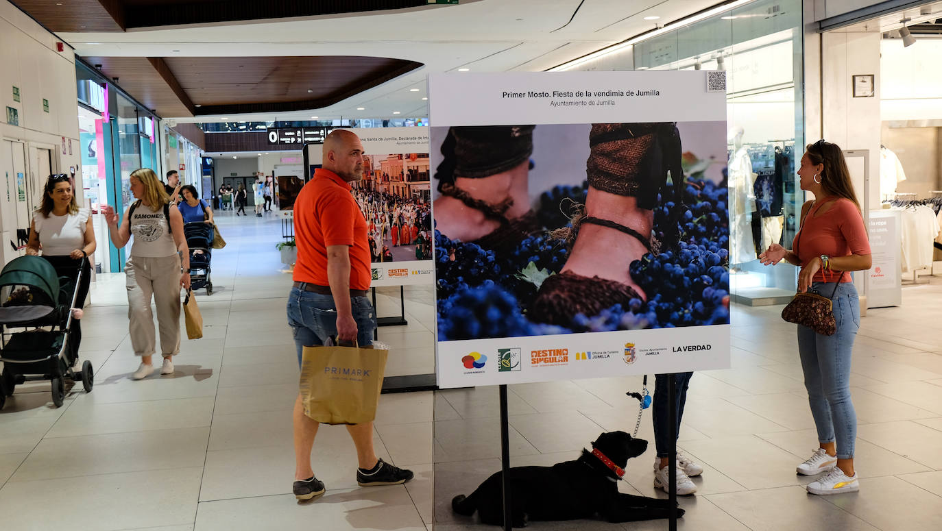 Albacete, última parada de la exposición fotográfica del Nordeste