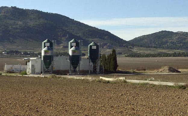 Imagen de archivo de una macrogranja en Lorca.