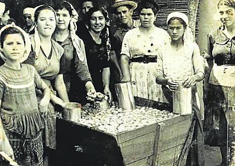 Imagen secundaria 1 - Arriba, Tomás García Martínez y María Luján Ortega, en su despacho, en la azotea de su casa de Guadalupe, erigido como un centro de investigación. Abajo, niñas y mujeres trabajando en el albaricoque en La Algaida (Archena) y mujeres recogiendo patatas en Llano de Brujas (Murcia).