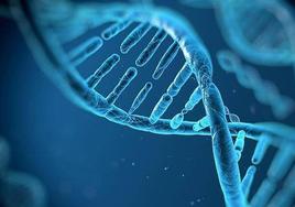 Secuenciación del ADN