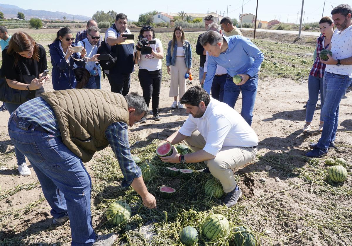 López Miras, en su visita a los cultivos de Lorca destrozados por el granizo, este domingo.