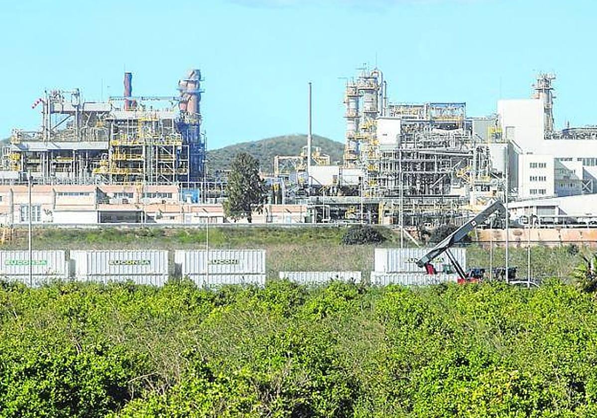 Bancal de limoneros junto a la factoría de Sabic en La Aljorra, en una imagen de archivo.