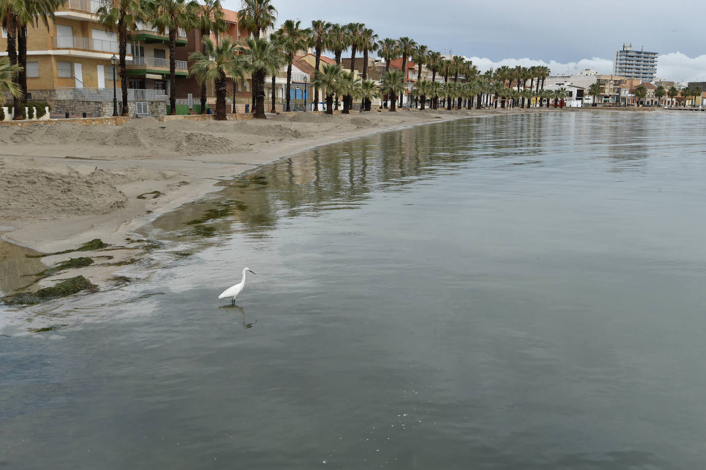 Galería: Los estragos de la lluvia en la Región de Murcia