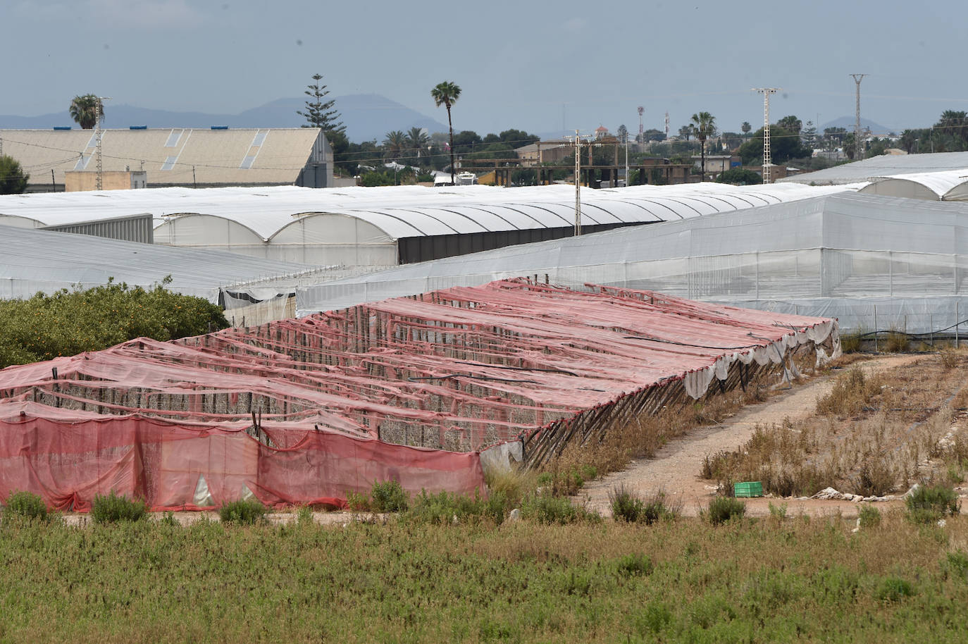 Galería: Los estragos de la lluvia en la Región de Murcia