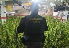 Un agente durante la operación