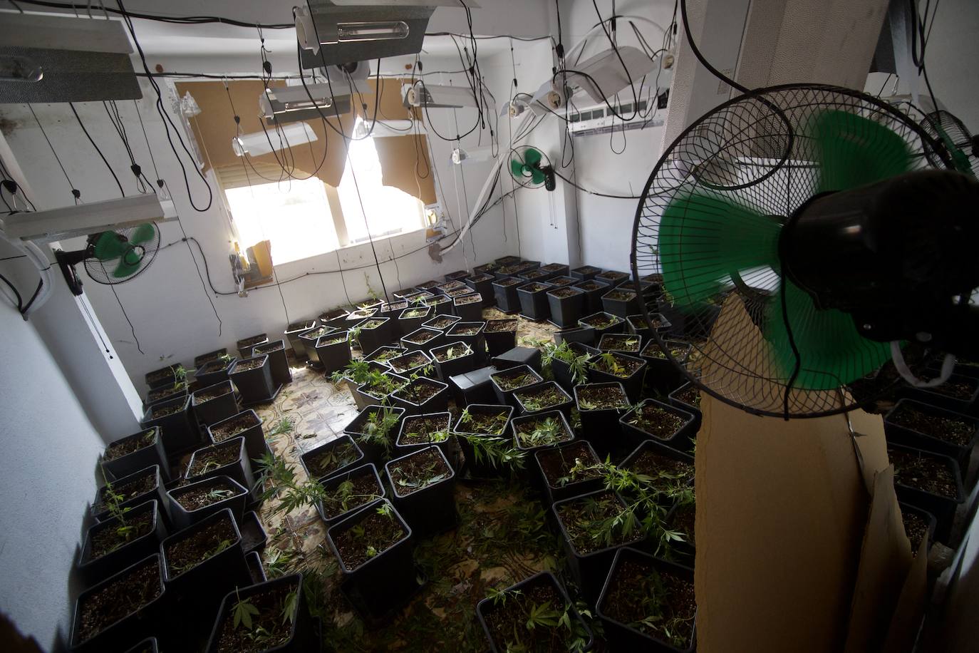 Operativo antidroga en Espinardo, en imágenes