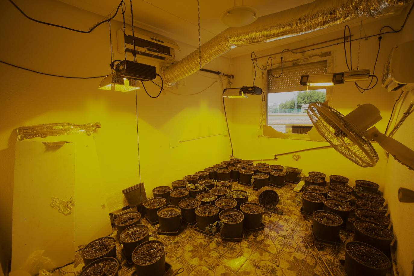 Operativo antidroga en Espinardo, en imágenes