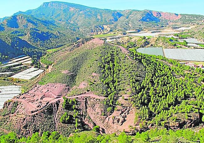 Cerro de La Bastida (Totana), del que se ha excavado un 10%.