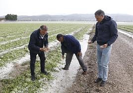 El alcalde electo, Fulgencio Gil, visita una zona afectada por el granizo.