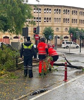 Imagen secundaria 2 - Desprendimiento en el santuario de la Fuensanta y un árbol derribado junto a la plaza de toros de Murcia.