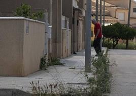 Calle Tucumán de Pozo Estrecho llena de matorrales y al fondo, un solar sin adecentar.