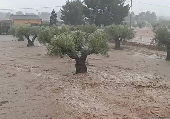 Inundaciones en Yecla tras la tormenta de este lunes.