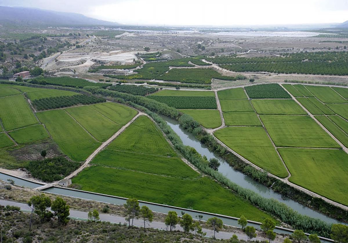 Imagen de archivo de los arrozales de Calasparra.