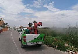 Orihuela y Torrevieja intensifican la lucha contra el mosquito tras las últimas lluvias