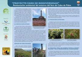 Autoridad Portuaria y Asociación ARBA trabajan juntos en la restauración ambiental del entorno del Faro de Cabo de Palos con el proyecto «Faro de Biodiversidad»