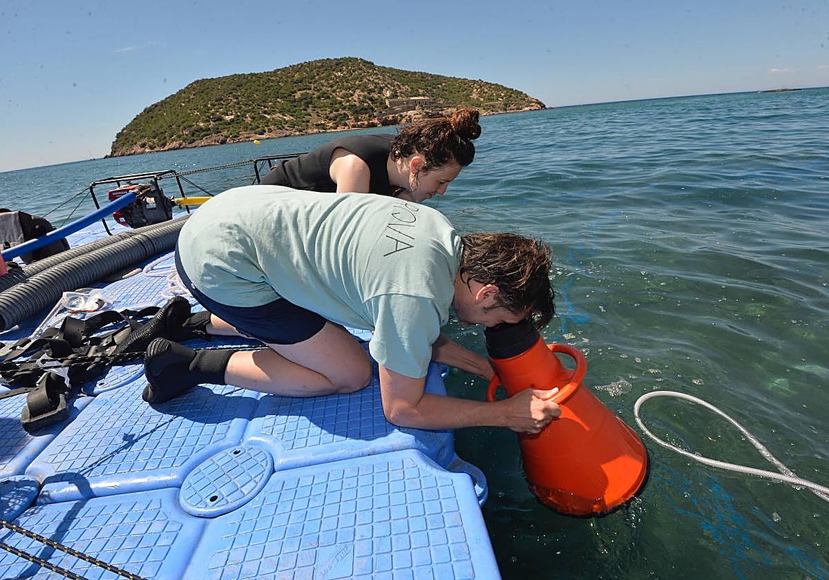 Rafael Sabio, director del Arqua, observa los trabajos de los arqueólogos a través de un mirafondos, ayer, en la playa de La Isla.