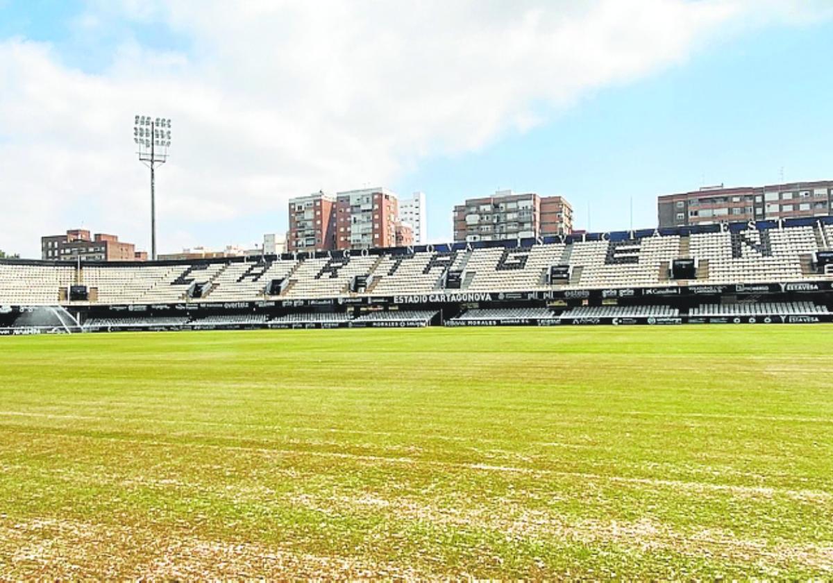 Estado del césped del Cartagonova, en una imagen de ayer.