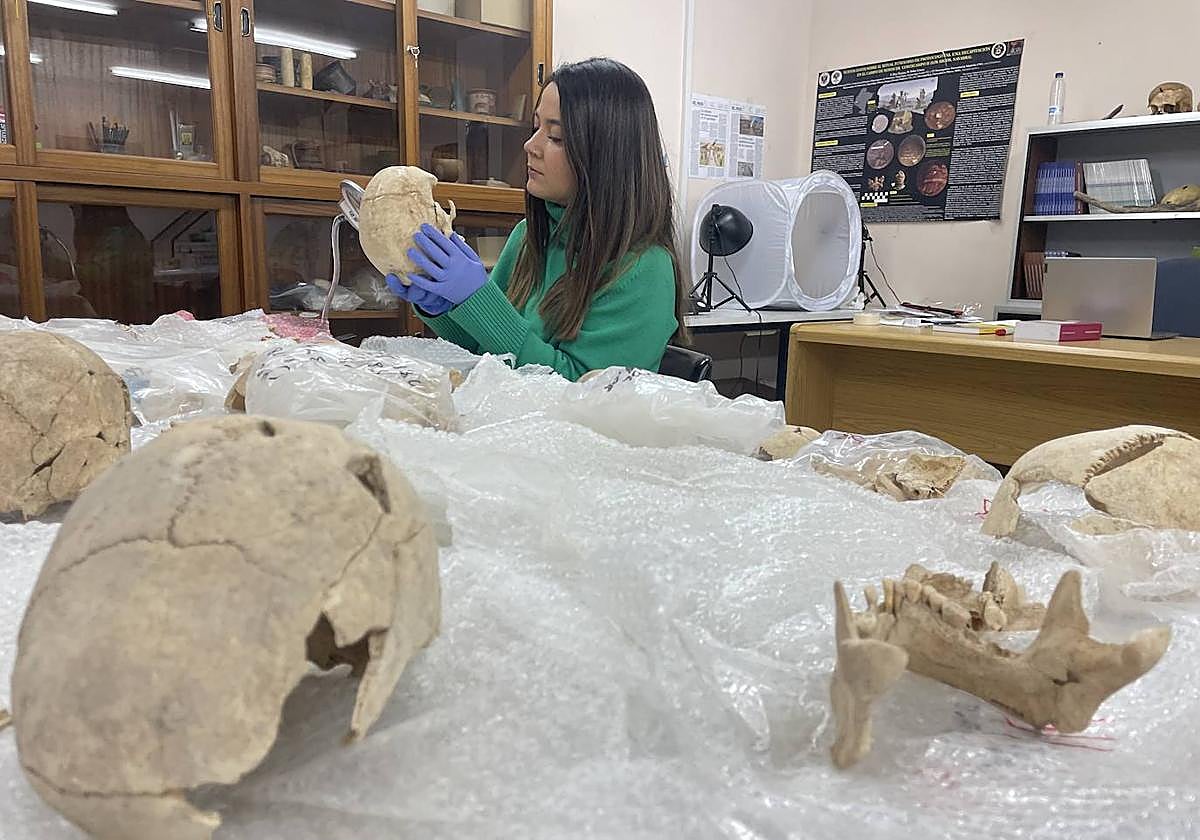 Sonia Díaz-Navarro, en el laboratorio, con restos óseos de la tumba de Camino del Molino.
