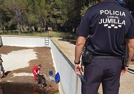 Rescate del perro herido.