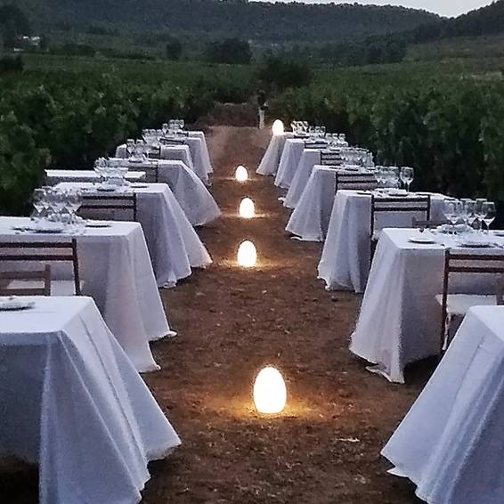 Cena entre viñedos.