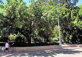 Imagen de achivo del recinto del parque de La Cubana.