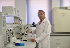 Joaquín Gadea, en un laboratorio de la Facultad de Veterinaria de la Universidad de Murcia.