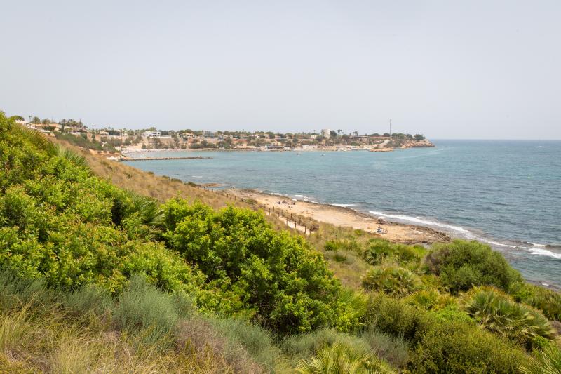 Así es la microrreserva de flora de la punta de La Glea