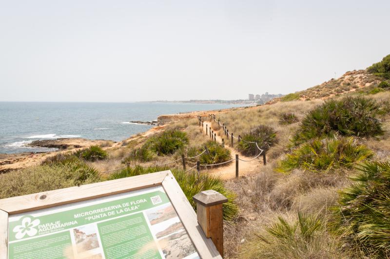 Así es la microrreserva de flora de la punta de La Glea