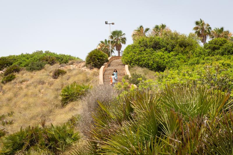 Así es la microrreserva de flora de la punta de La Glea