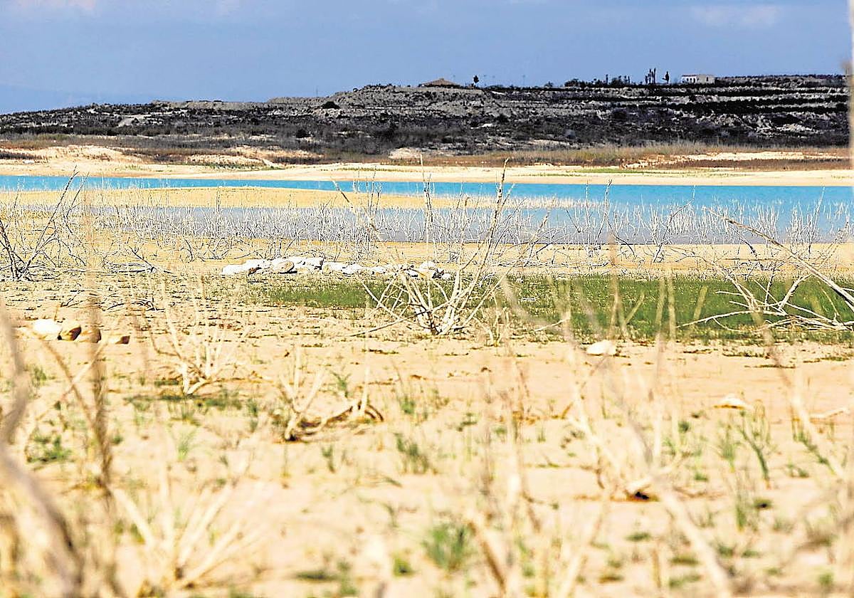 El embalse de La Pedrera, perteneciente a la cuenca hidrográfica del Segura y ubicado en Orihuela.
