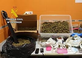 Una gran cantidad de marihuana en cogollos confiscada por los agentes.