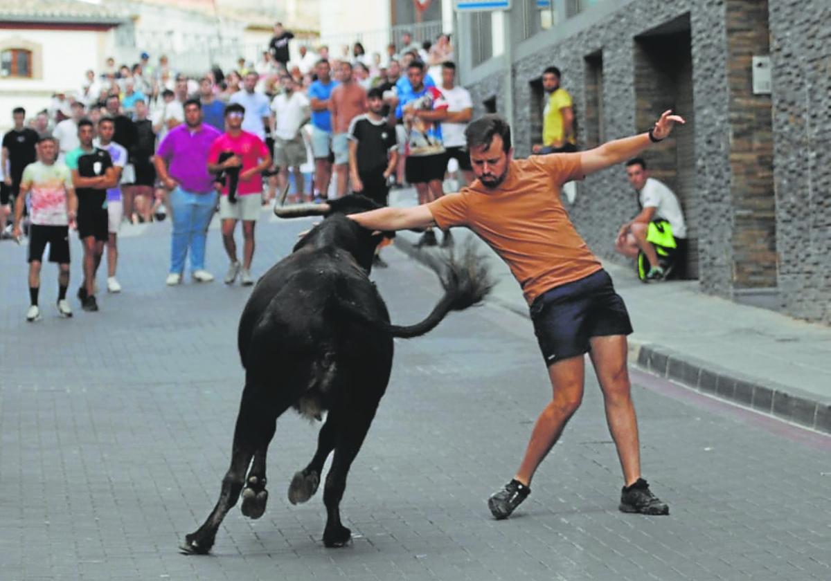 Un joven hace un quiebro a una de las reses, en el festejo de ayer.