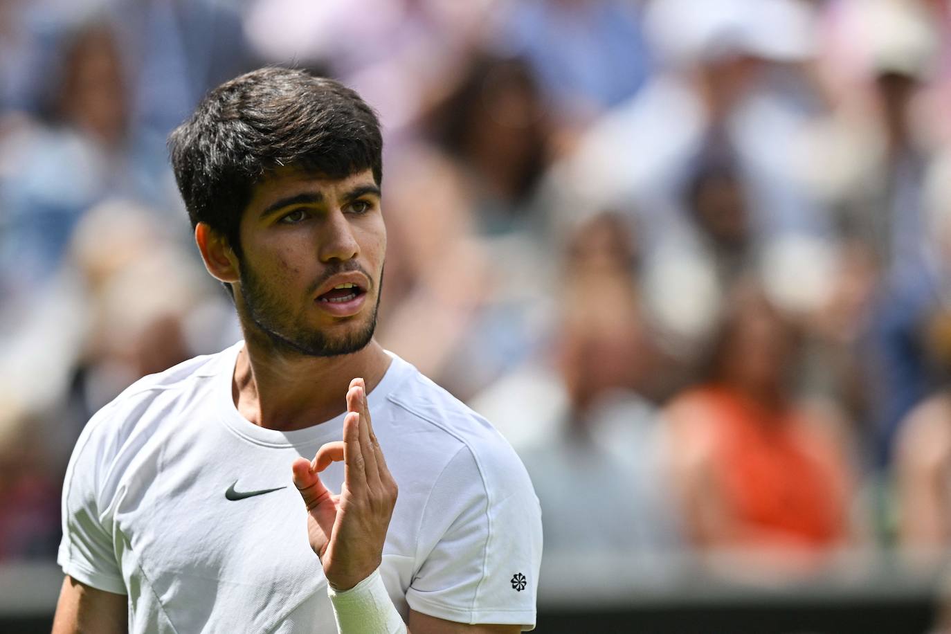 La final de Wimbledon entre Carlos Alcaraz y Novak Djokovic, en imágenes