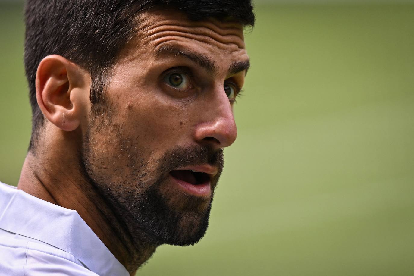 La final de Wimbledon entre Carlos Alcaraz y Novak Djokovic, en imágenes