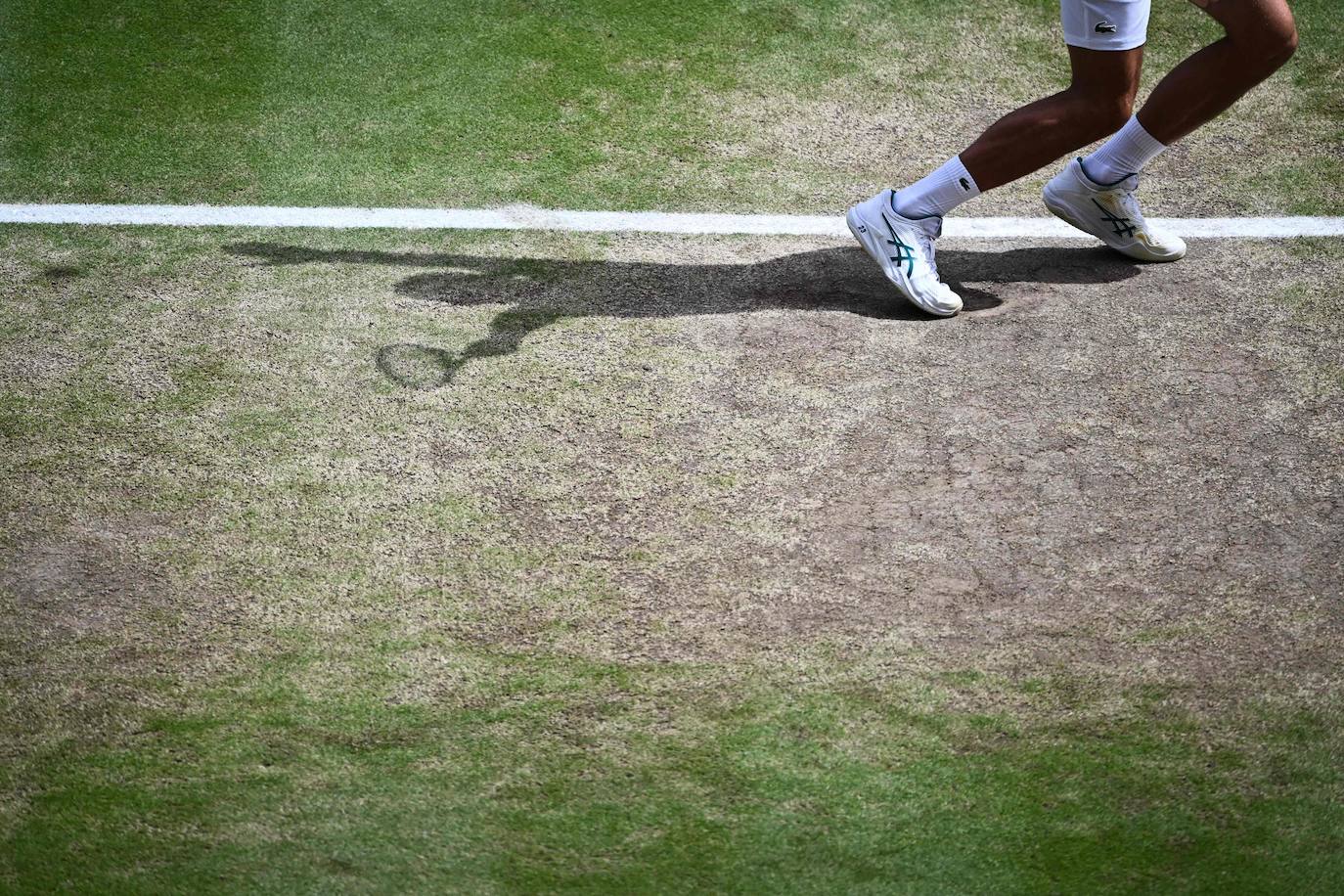 La final de Wimbledon entre Carlos Alcaraz y Novak Djokovic, en imágenes