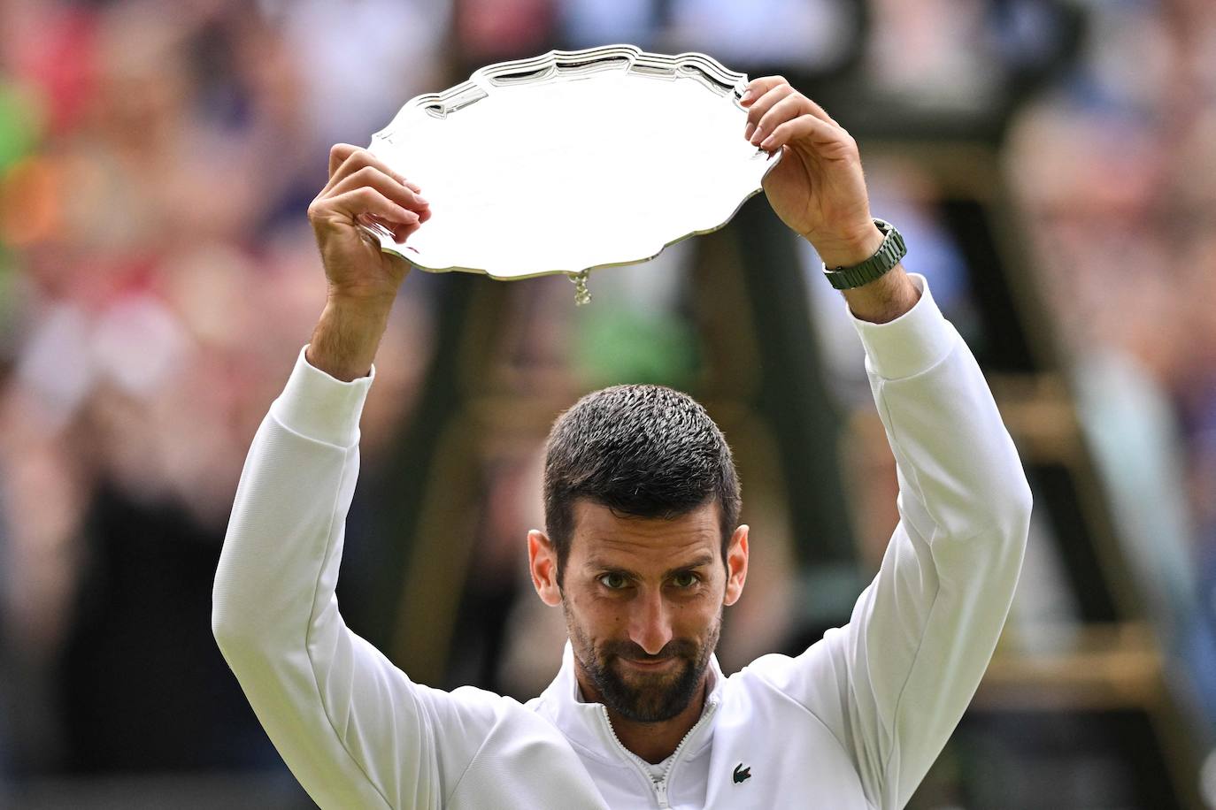 La final de Wimbledon entre Carlos Alcaraz y Novak Djokovic, en imágenes