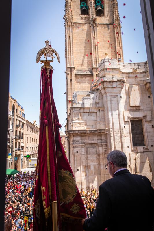El día del Pájaro, en imágenes