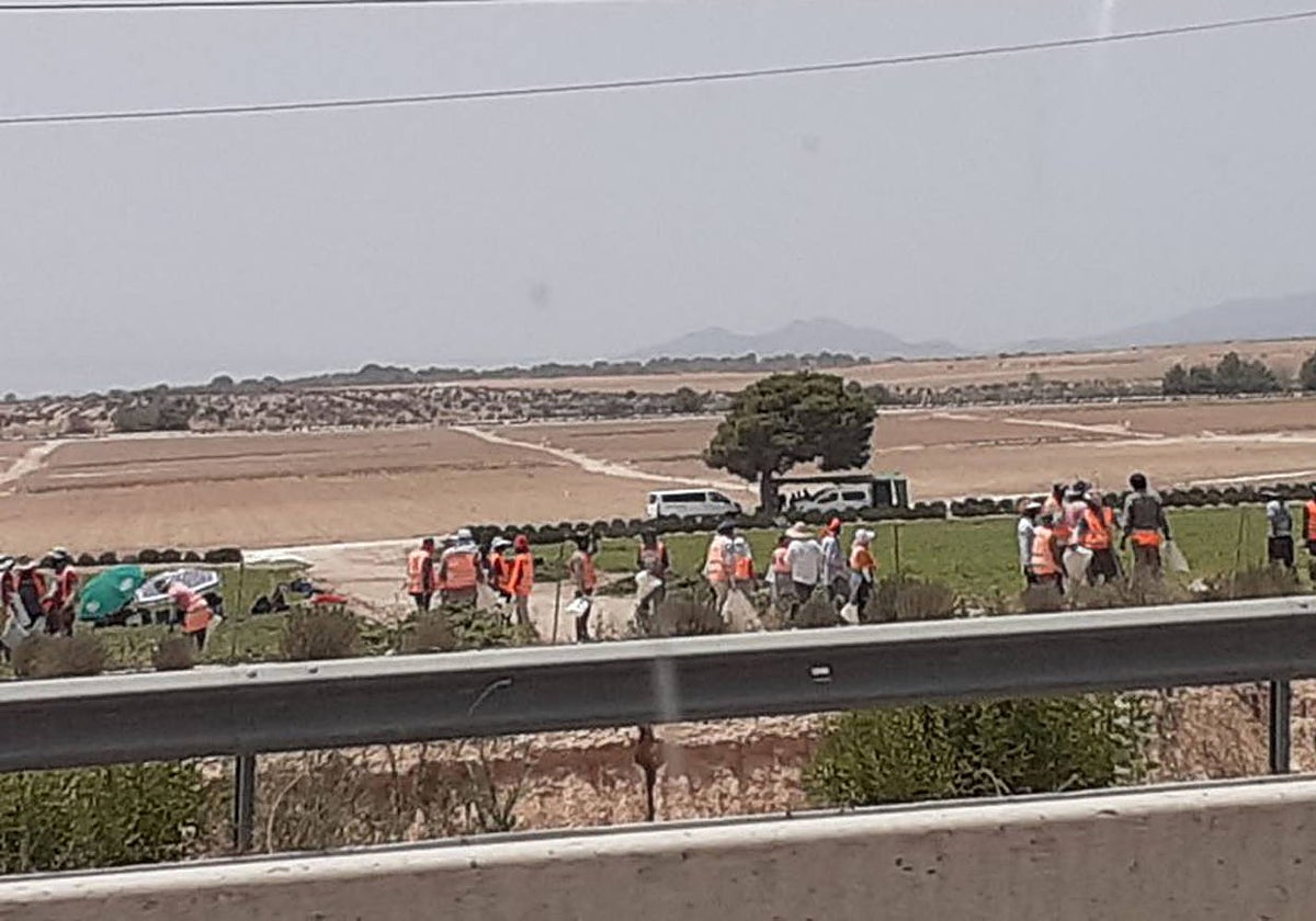 Una foto de los jornaleros en una finca de Murcia.